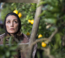 berlinartlink discover iranian films
