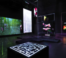 berlinartlink discover hito steyerl