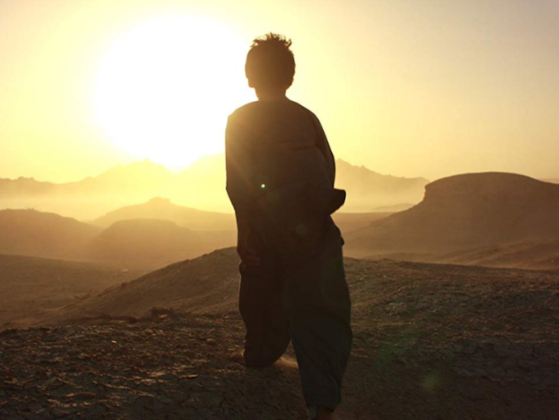 berlinartlink discover iranian film